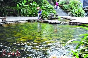 2017年廣州市兩會 水務局預算劍指水污染治理，高效著力環保技術開發服務