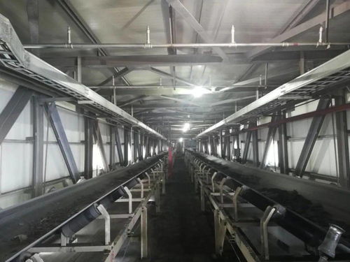 洗選廠月度洗選產(chǎn)量創(chuàng)新高，個人衛(wèi)生用品銷售市場全面開花